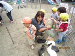 IMG_0771_convert_20130702173739.jpg